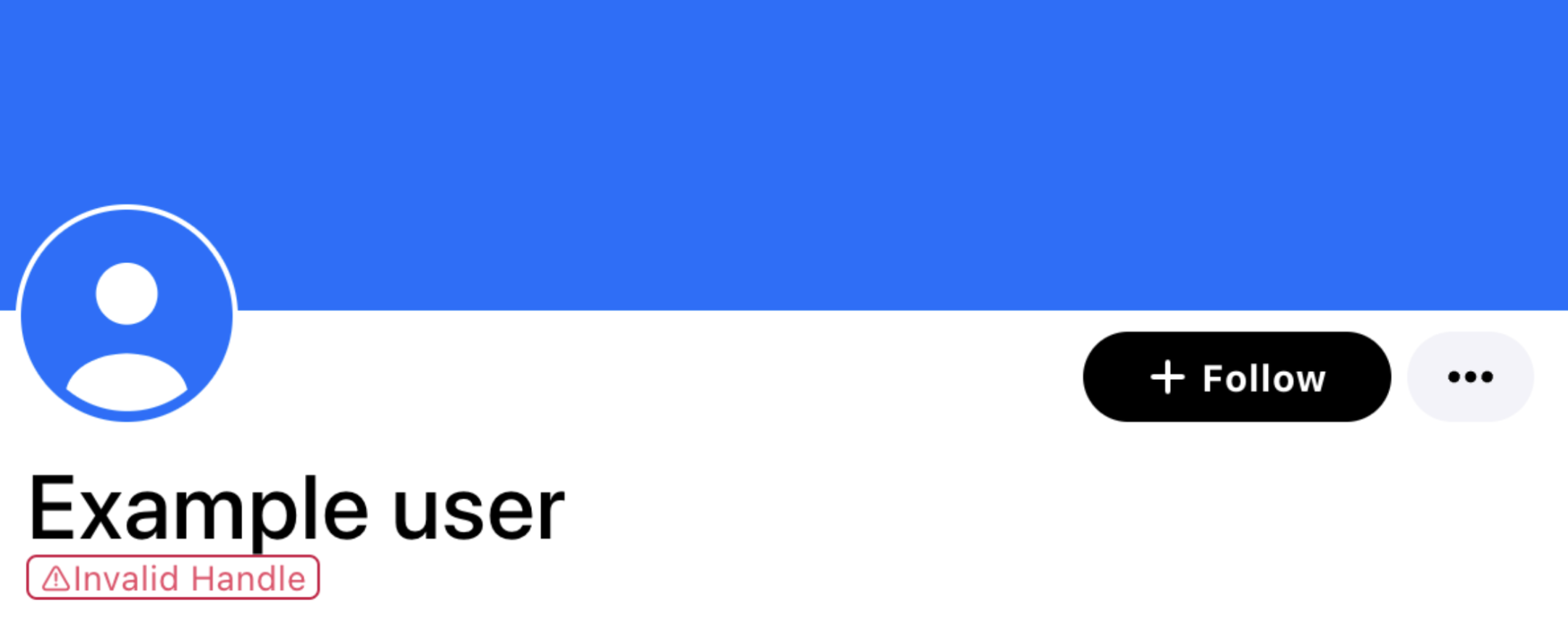 Screenshot of a profile with an invalid handle